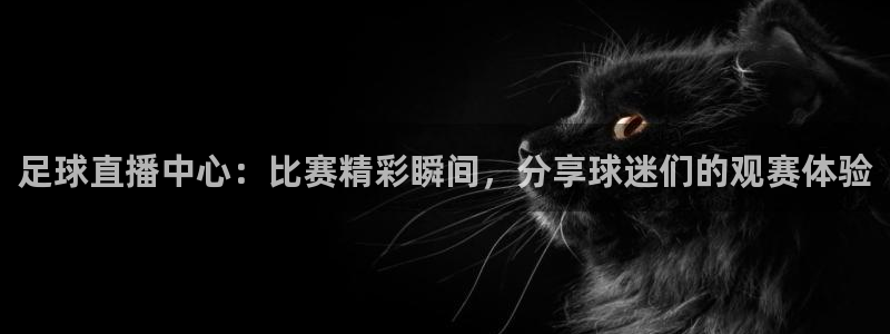 足球直播中心：比赛精彩瞬间，分享球迷们的观赛体验