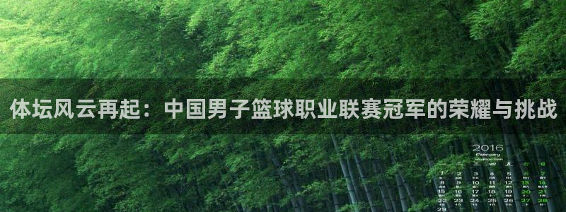 体坛风云再起：中国男子篮球职业联赛冠军的荣耀与挑战
