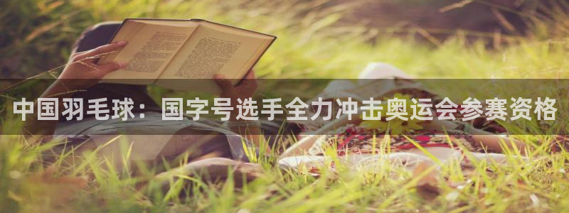 中国羽毛球：国字号选手全力冲击奥运会参赛资格