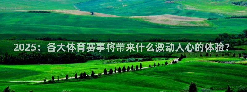 2025：各大体育赛事将带来什么激动人心的体验？