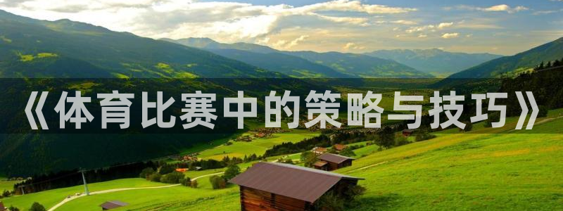 《体育比赛中的策略与技巧》