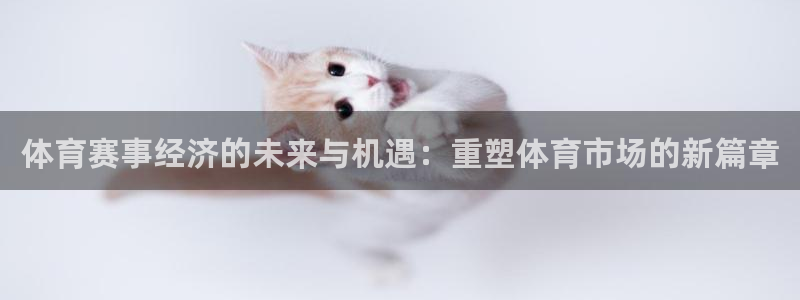 体育赛事经济的未来与机遇：重塑体育市场的新篇章
