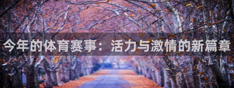 今年的体育赛事：活力与激情的新篇章