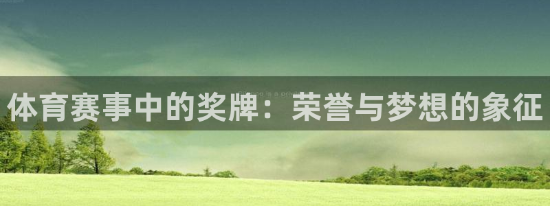 体育赛事中的奖牌：荣誉与梦想的象征