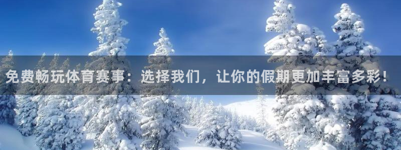 免费畅玩体育赛事：选择我们，让你的假期更加丰富多彩！