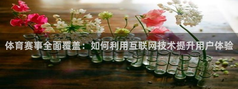 体育赛事全面覆盖：如何利用互联网技术提升用户体验