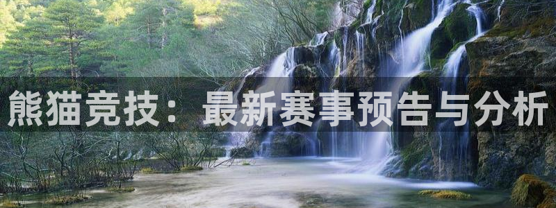 熊猫竞技：最新赛事预告与分析