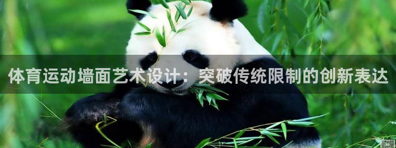 体育运动墙面艺术设计：突破传统限制的创新表达