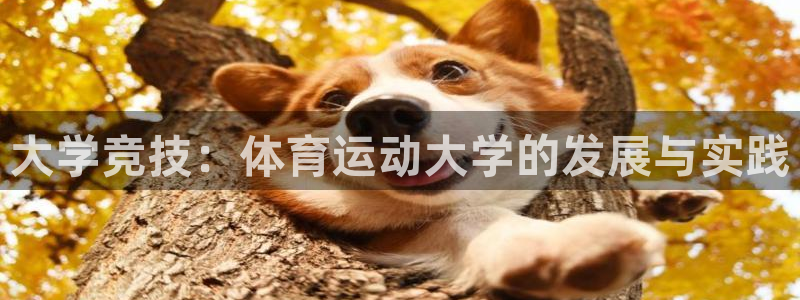 大学竞技：体育运动大学的发展与实践