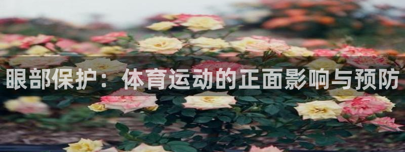 眼部保护：体育运动的正面影响与预防