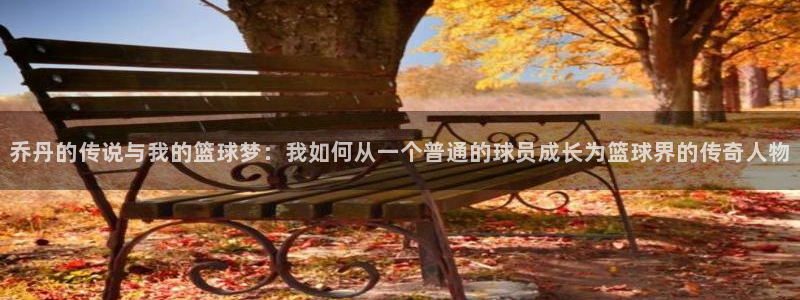 乔丹的传说与我的篮球梦：我如何从一个普通的球员成长为篮球界的传奇人物