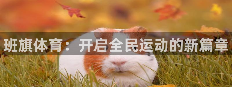 班旗体育：开启全民运动的新篇章