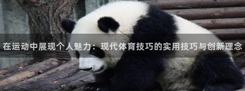 在运动中展现个人魅力：现代体育技巧的实用技巧与创新理念