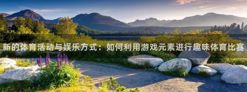 新的体育活动与娱乐方式：如何利用游戏元素进行趣味体育比赛