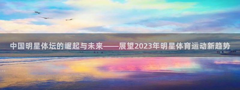 中国明星体坛的崛起与未来——展望2023年明星体育运动新趋势