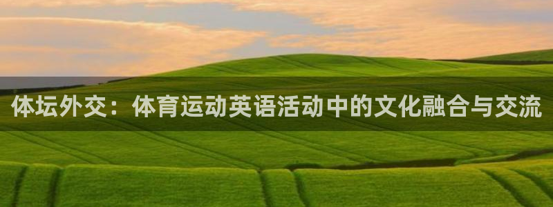 体坛外交：体育运动英语活动中的文化融合与交流