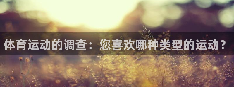 体育运动的调查：您喜欢哪种类型的运动？