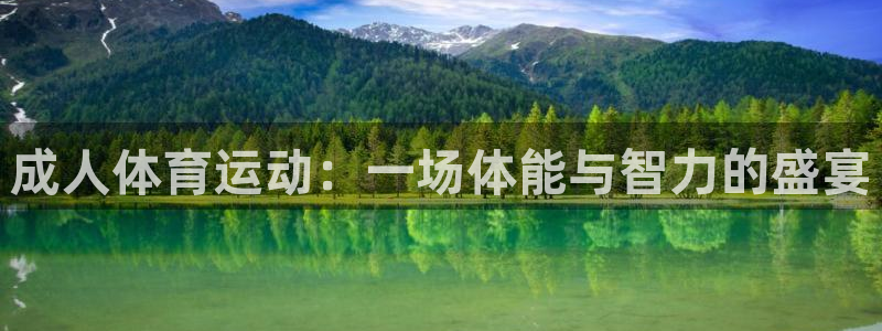 成人体育运动：一场体能与智力的盛宴