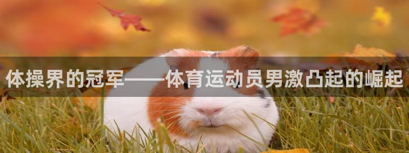 体操界的冠军——体育运动员男激凸起的崛起