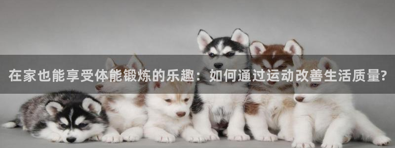 在家也能享受体能锻炼的乐趣：如何通过运动改善生活质量?