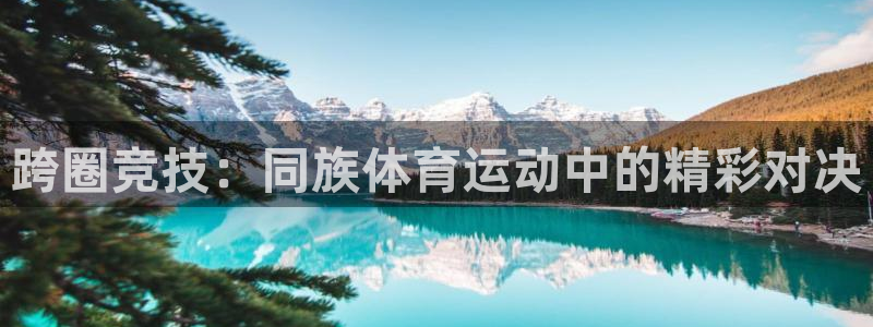 跨圈竞技：同族体育运动中的精彩对决